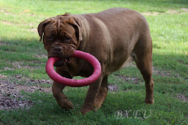 Emma von Sankt Stephan