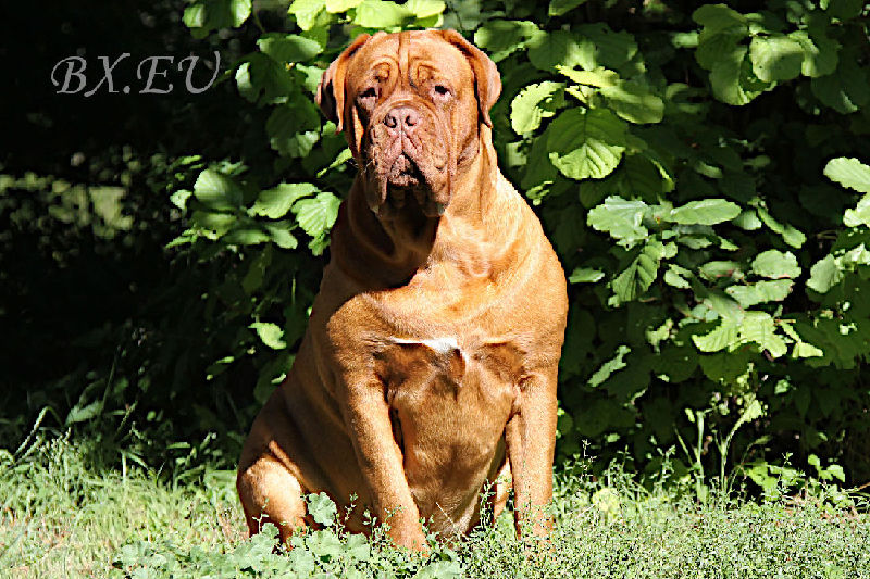 Emma von Sankt Stephan